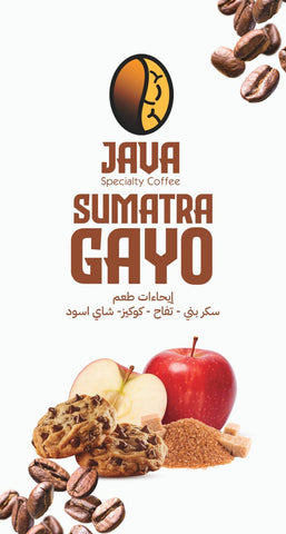 Sumatra Gayo